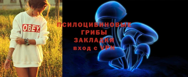 прущий лед Вязники