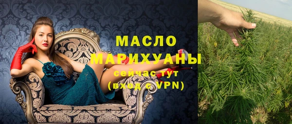 тгк Вяземский