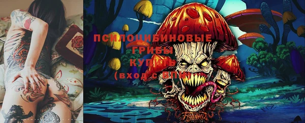 тгк Вяземский