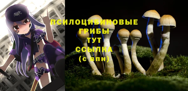 тгк Вяземский
