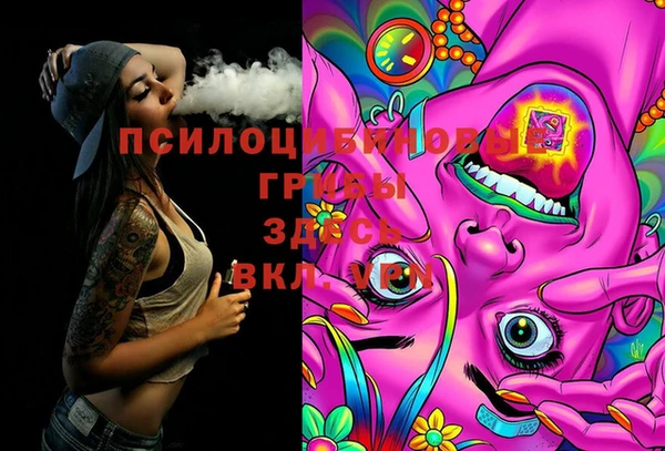 тгк Вяземский