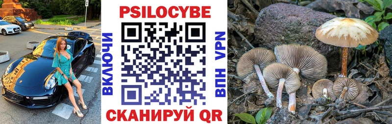 Купить закладки  Можайск  Псилоцибиновые грибы мухоморы 
